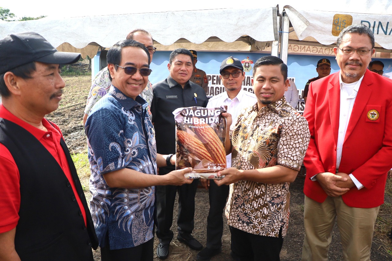 WhatsApp Image 2025-05-15 at 09.18.34